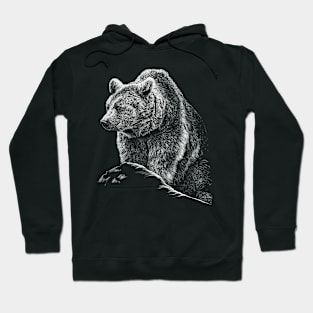 Bear Hoodie